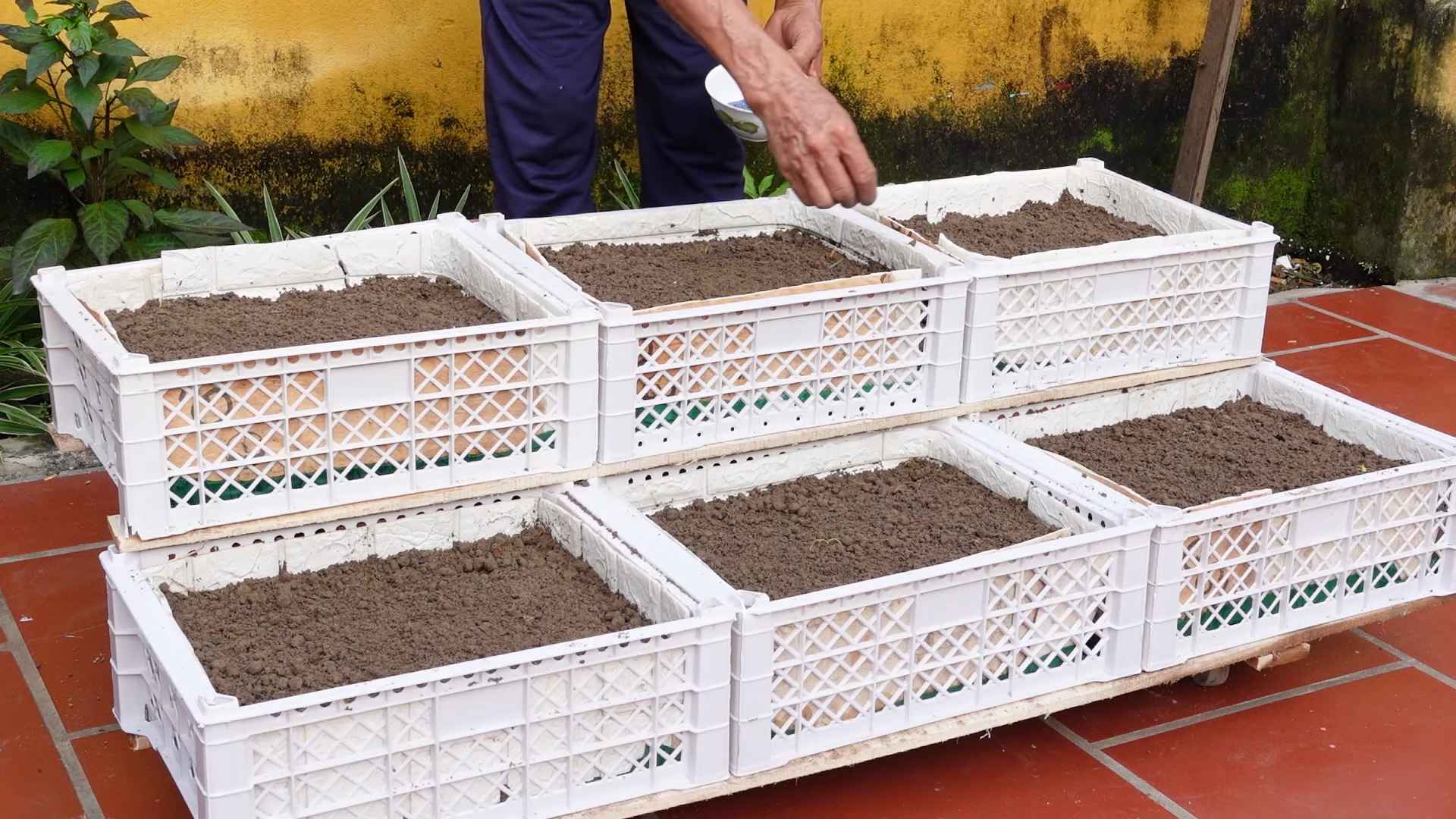 Small Space Vegetable Gardening