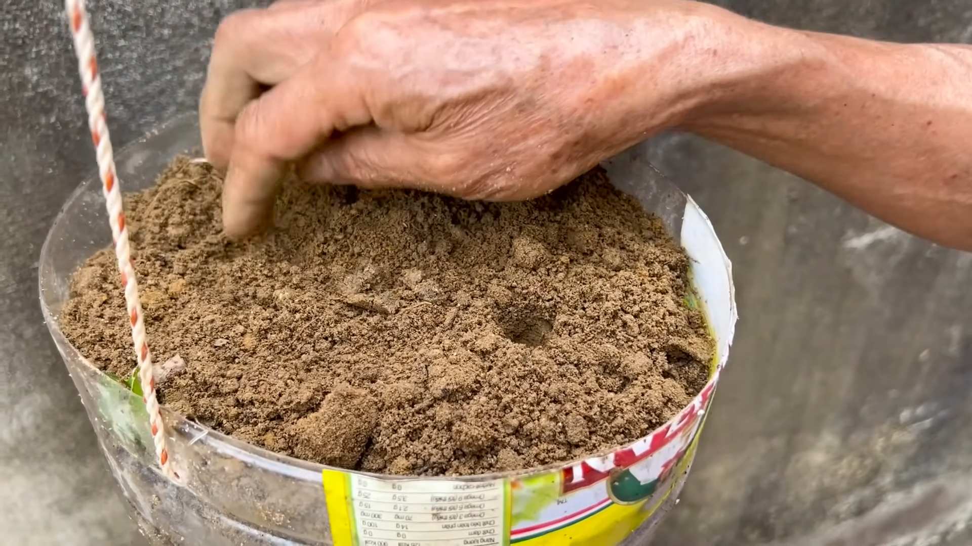 Grow Melons at Home