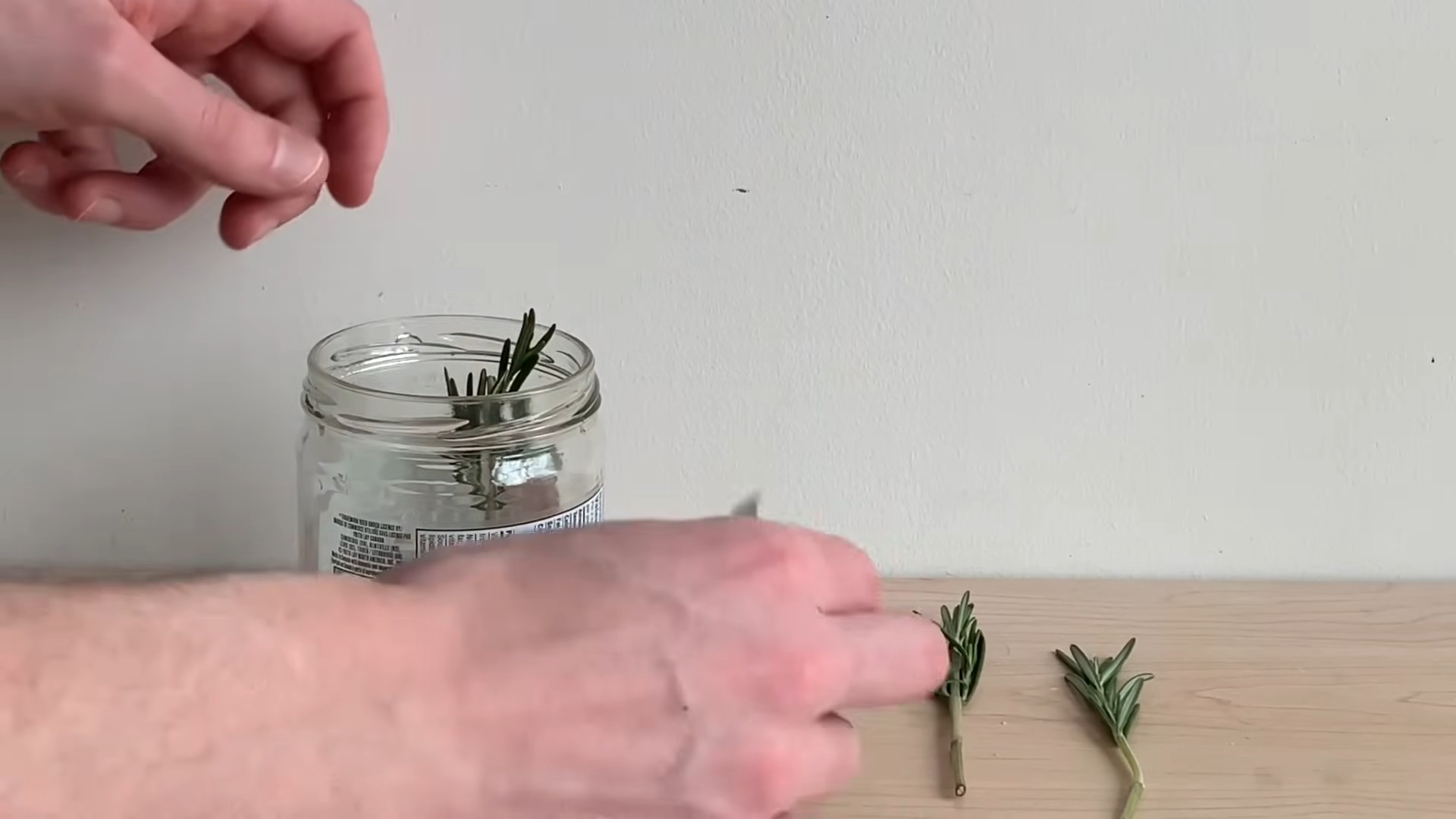 Soil Free Rosemary Growing
